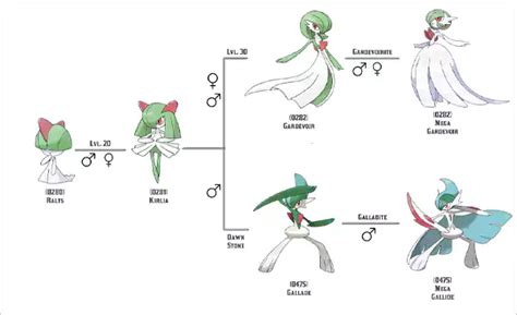 gardevoir evolution|Gardevoir .